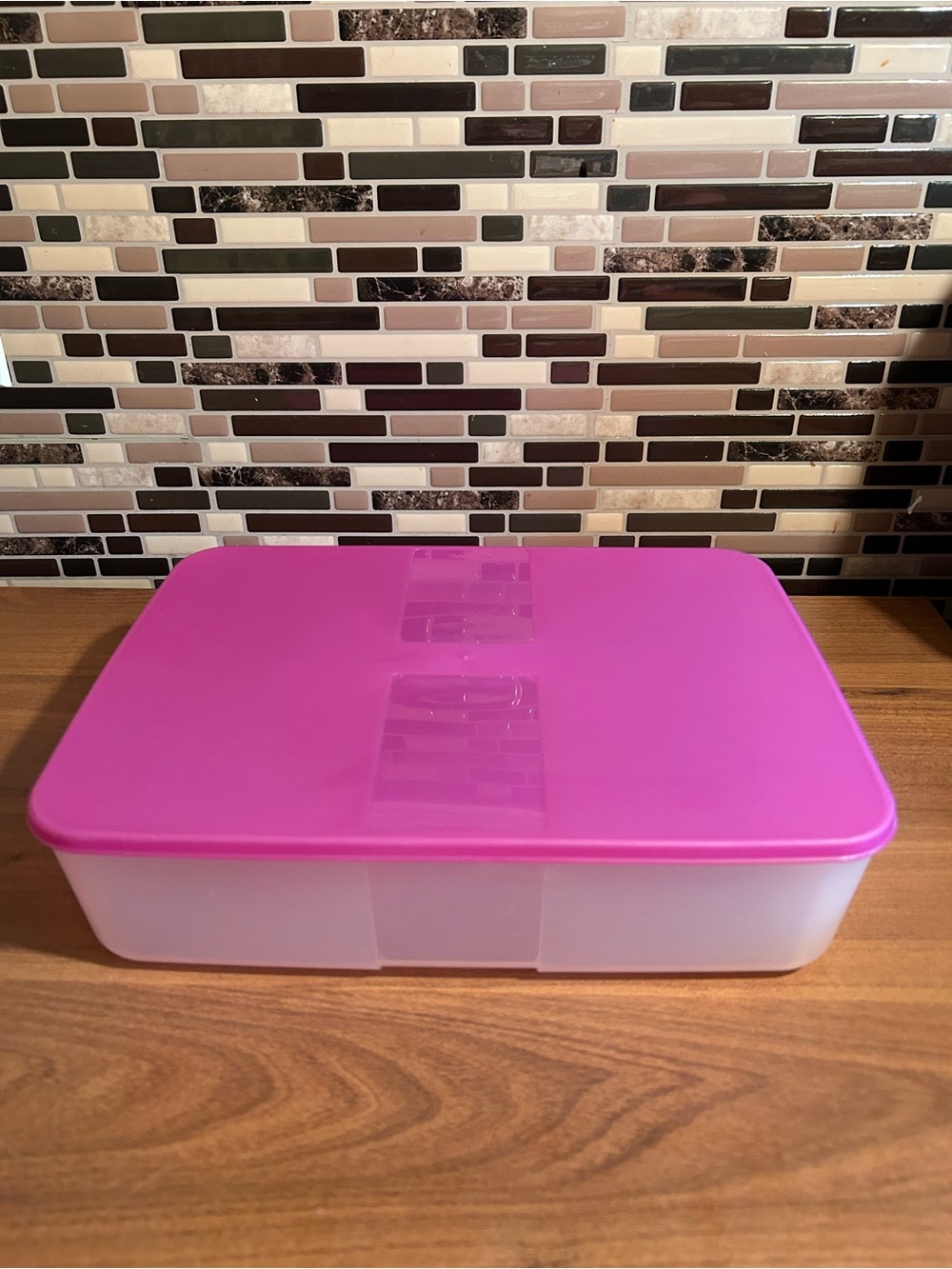 Tupperware Freezer Mate Food Storage Container with Snap Lid